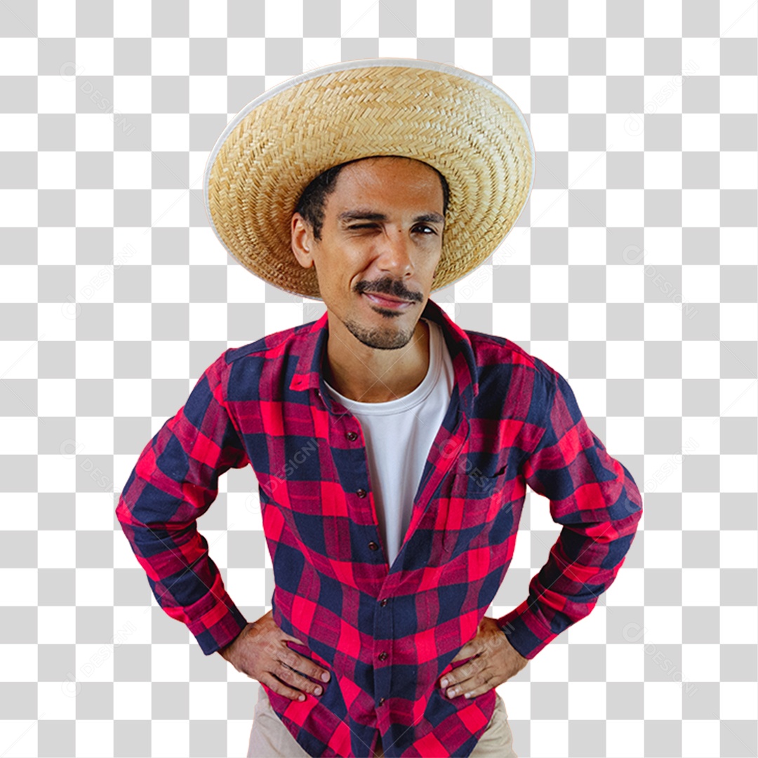 Homem de Camisa Quadriculada Para Festa Junina PNG Transparente