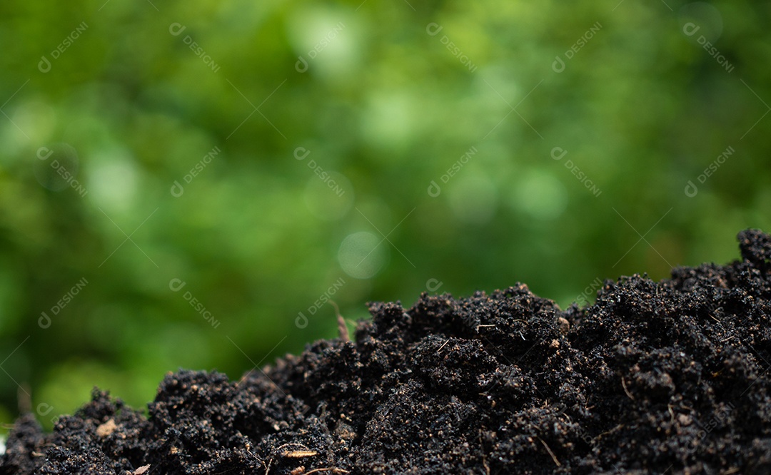 Fundo com solo e verde da natureza. Conceito de proteção ambiental, reflorestamento