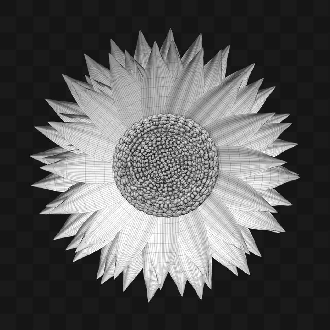 Flor Girassol  - Modelo 3D