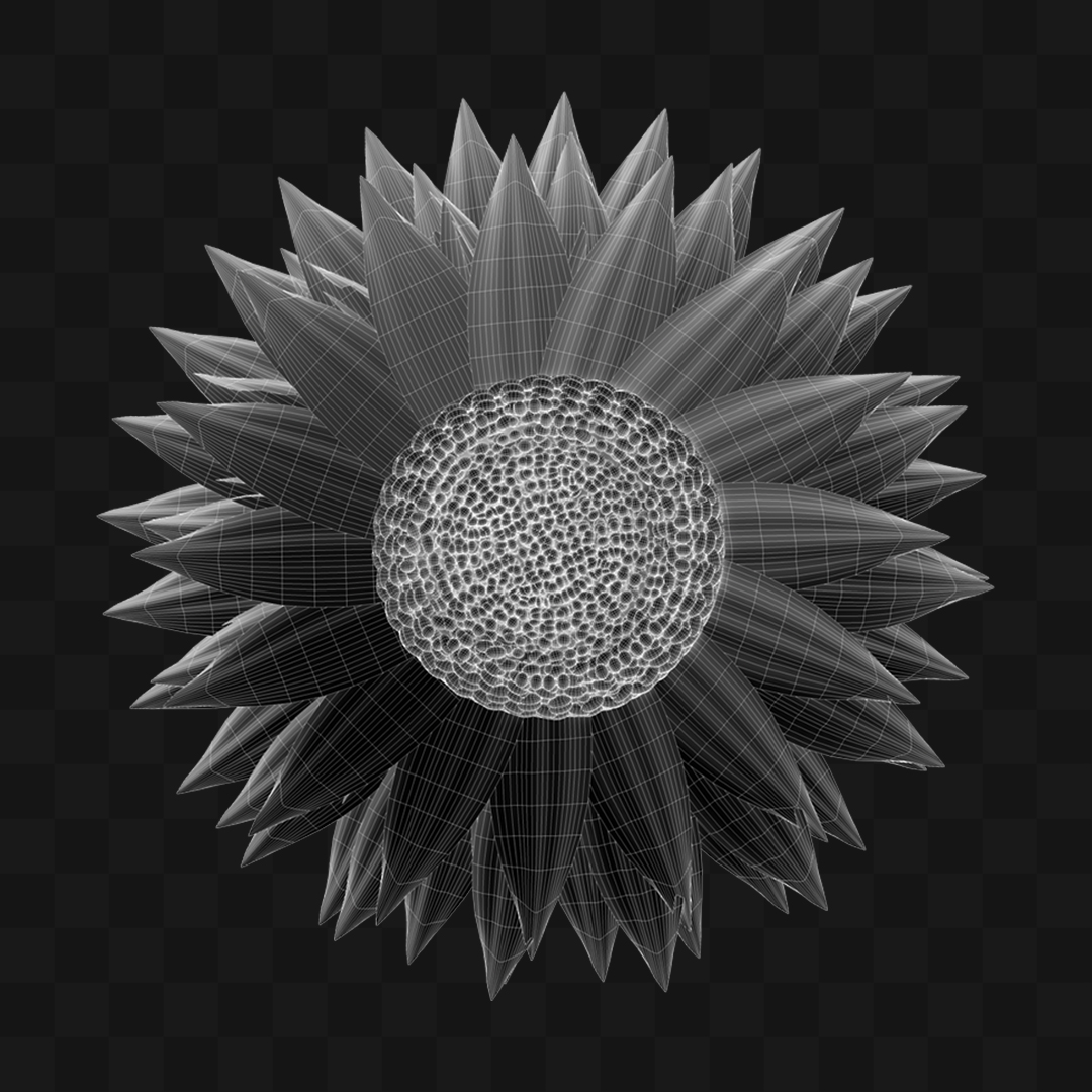 Flor Girassol  - Modelo 3D