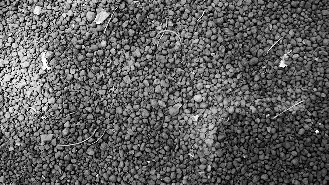 Antigo muro de concreto em cor preto e branco, parede de cimento