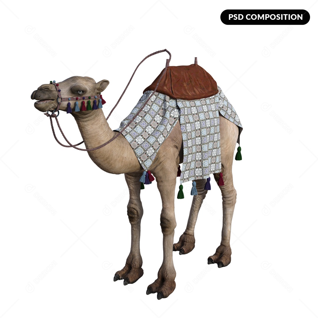 Animal Camelo Fundo Branco