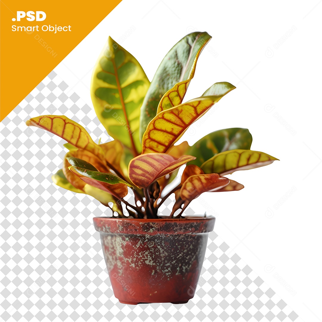 Vaso De Planta Para Composição PSD