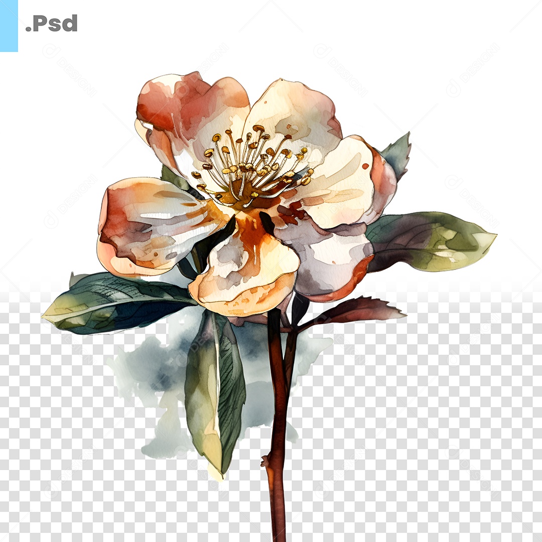 Conjunto de Flores PSD