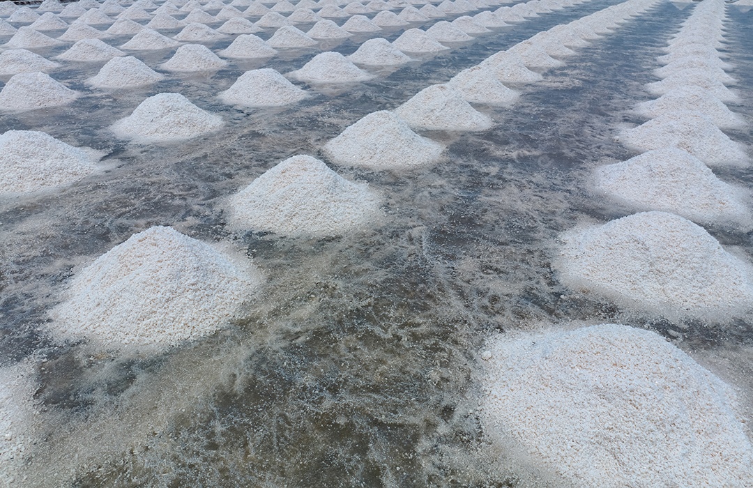 Fazenda de sal marinho pilha de sal de salmoura