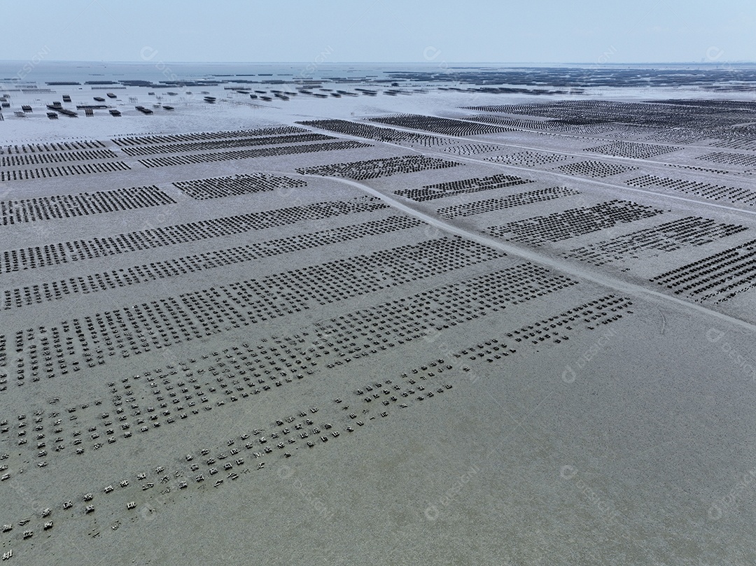 Vista aérea da fazenda de ostras agricultura sustentável