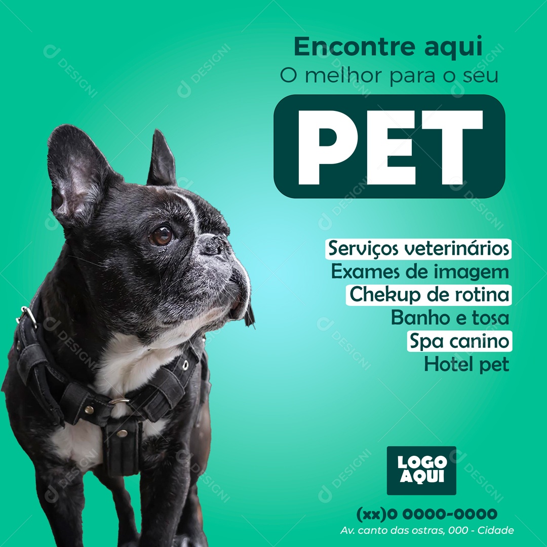 Encontre Aqui o Melhor Para Seu Pet Social Media PSD Editável