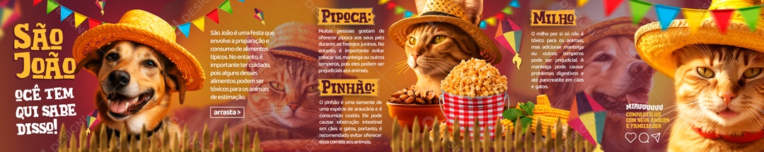 Social Media Carrossel São João Comidas PSD Editável