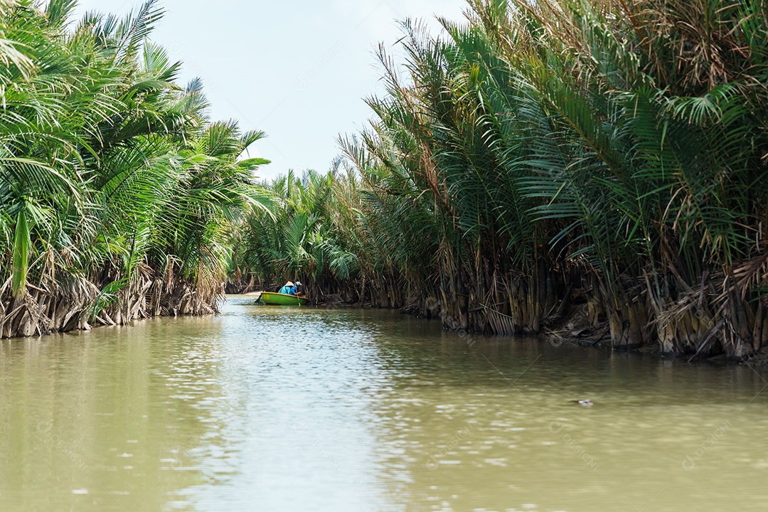 floresta de rio de coco com barcos de cesta, um vietnamita único na vila de Cam thanh