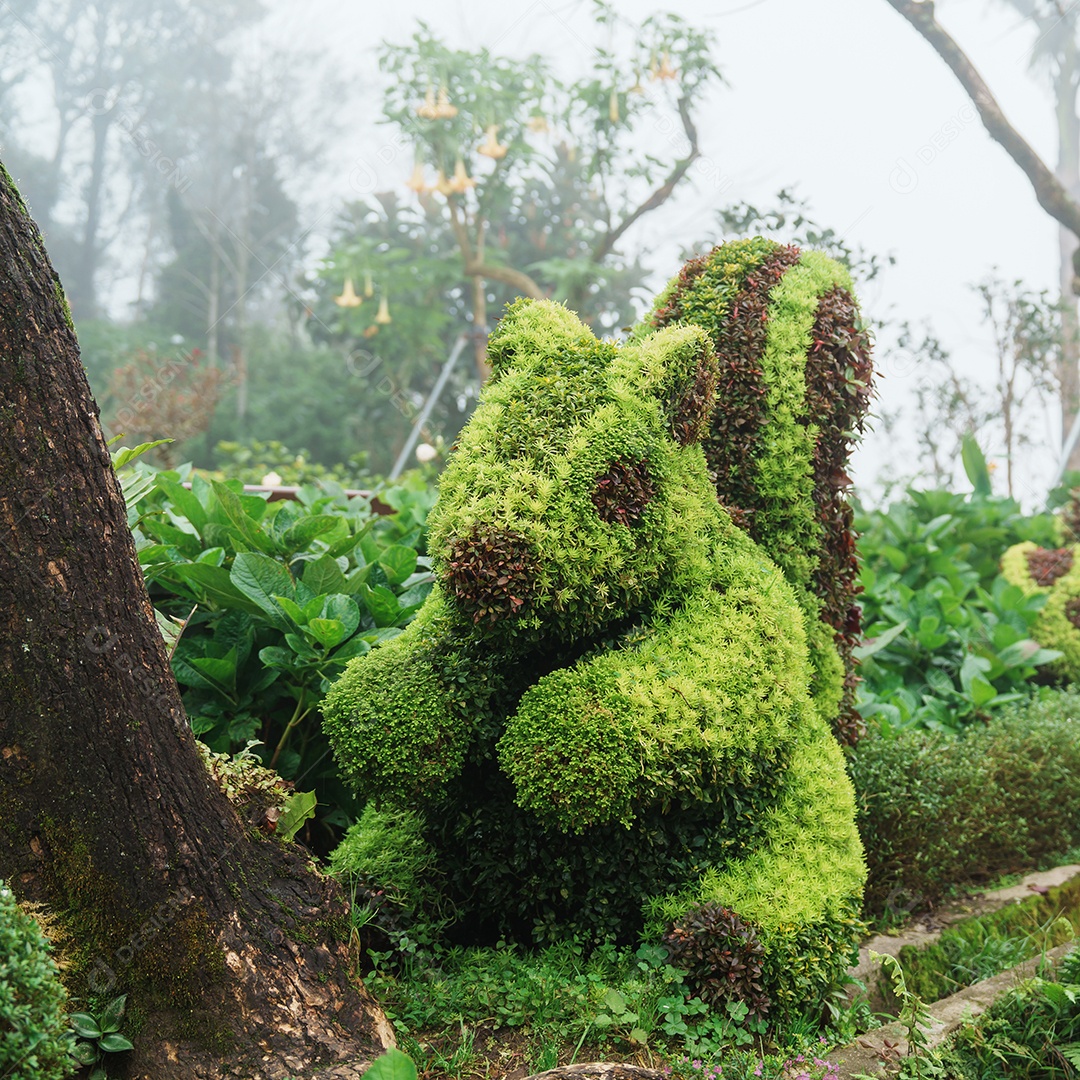 Forma de jardim Coelho Verde na primavera.