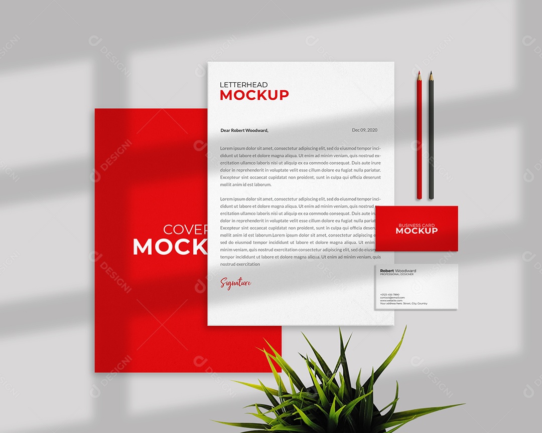 Cartões Mockup PSD Editável