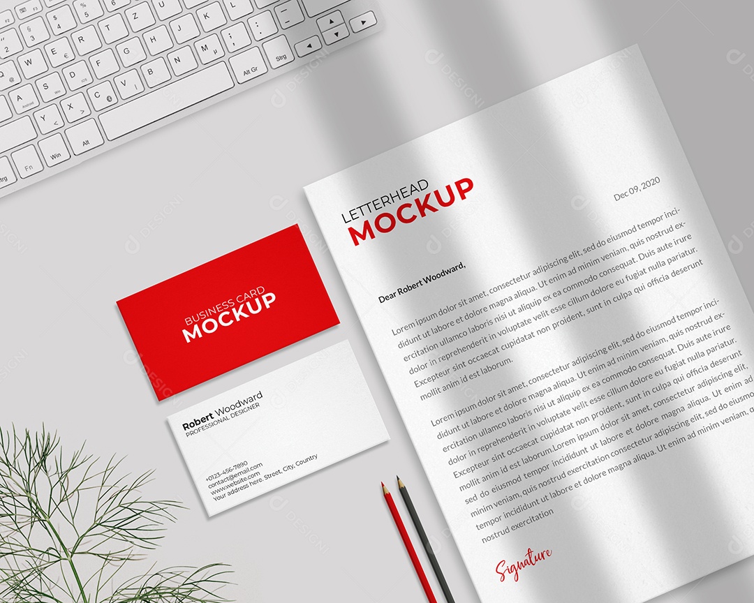 Cartões Mockup PSD Editável