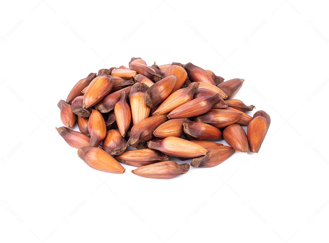 Uma pilha de pinhões ou sementes de pinheiro isoladas sobre fundo branco.