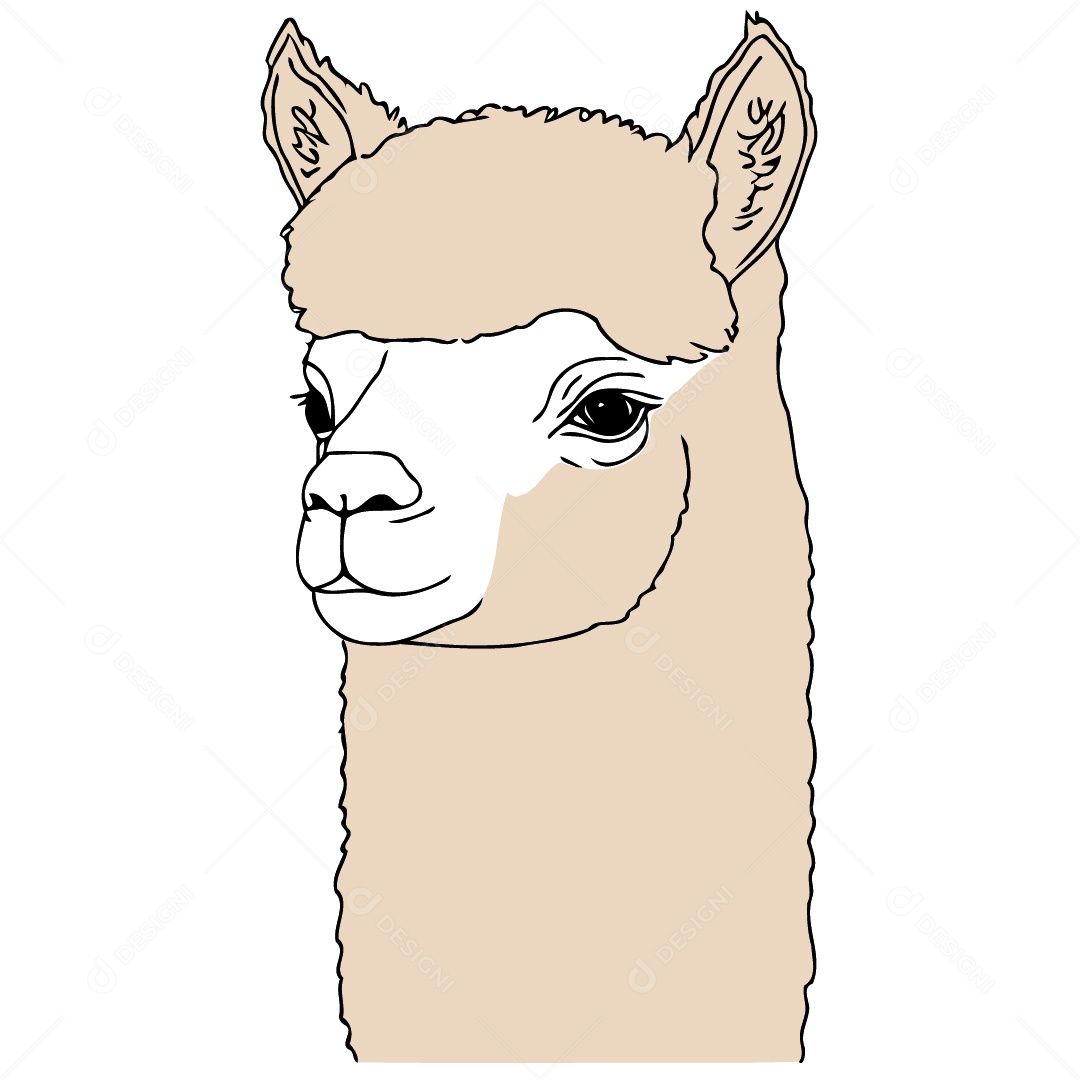 Camelídeo Chamada Alpaca Animal Cabeça Isolada Colorida Ilustração Vetorial Vetor EPS