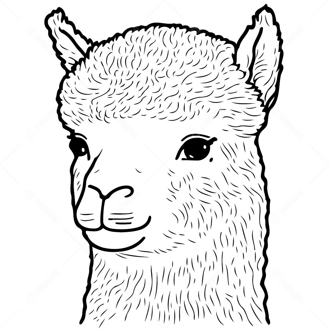 Camelídeo Chamada Alpaca Animal Cabeça Isolada Colorida Ilustração Vetorial Vetor EPS