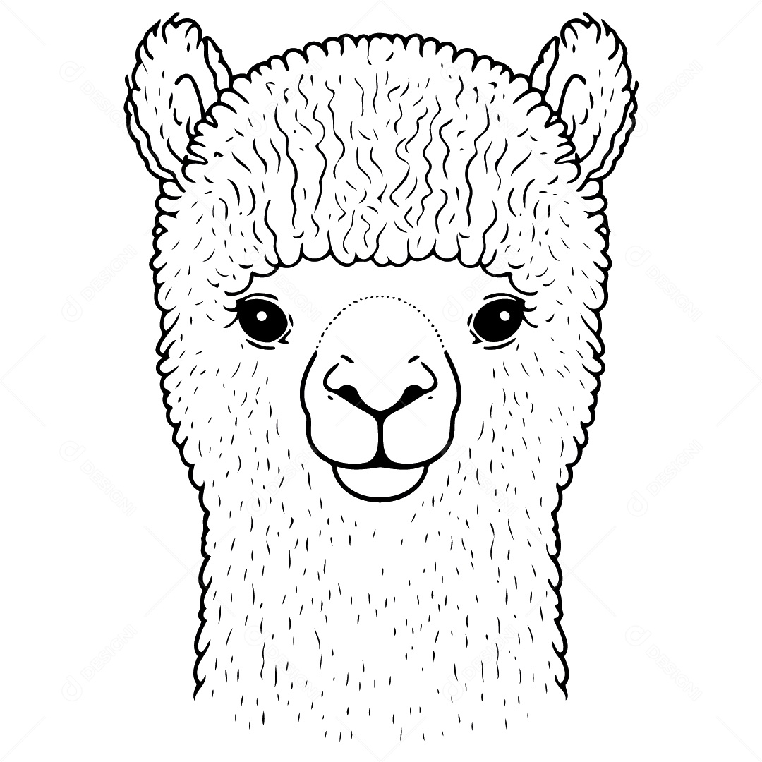 Camelídeo Chamada Alpaca Animal Cabeça Isolada Colorida Ilustração Vetorial Vetor EPS