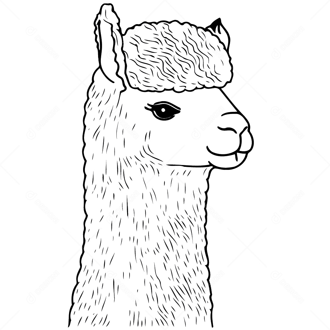 Camelídeo Chamada Alpaca Animal Cabeça Isolada Colorida Ilustração Vetorial Vetor EPS