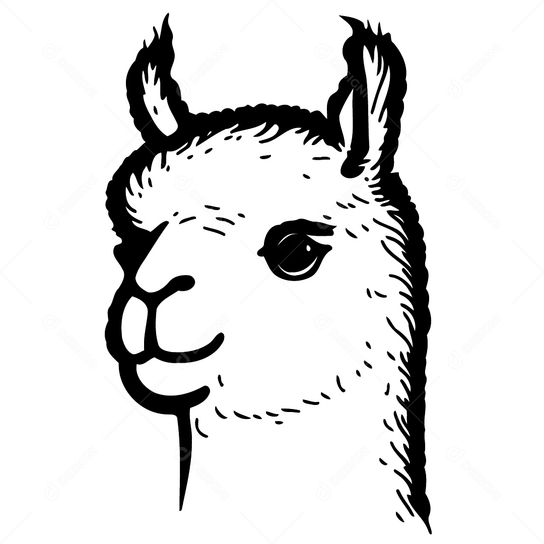 Camelídeo Chamada Alpaca Animal Cabeça Isolada Colorida Ilustração Vetorial Vetor EPS