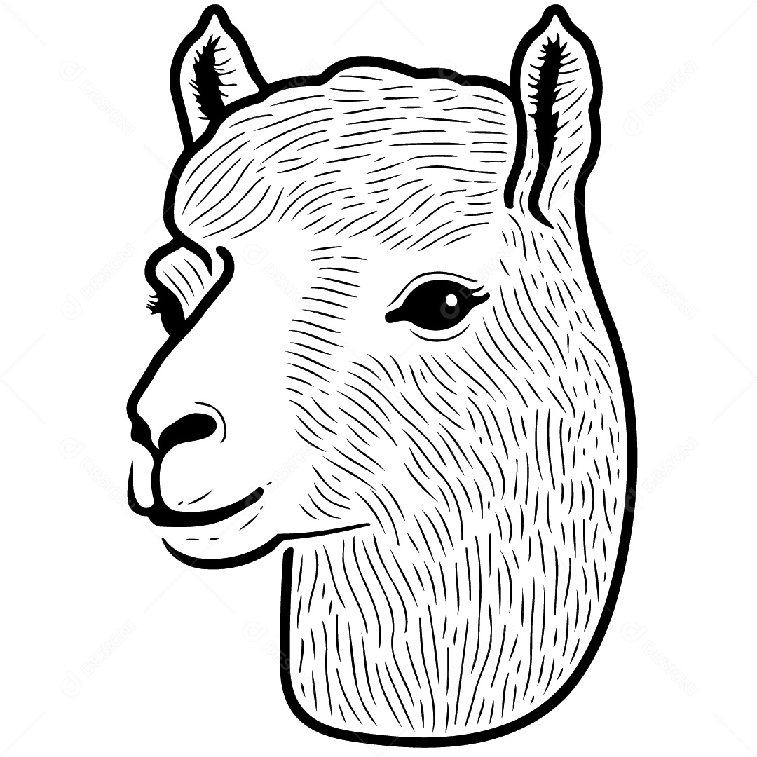 Camelídeo Chamada Alpaca Animal Cabeça Isolada Colorida Ilustração Vetorial Vetor EPS