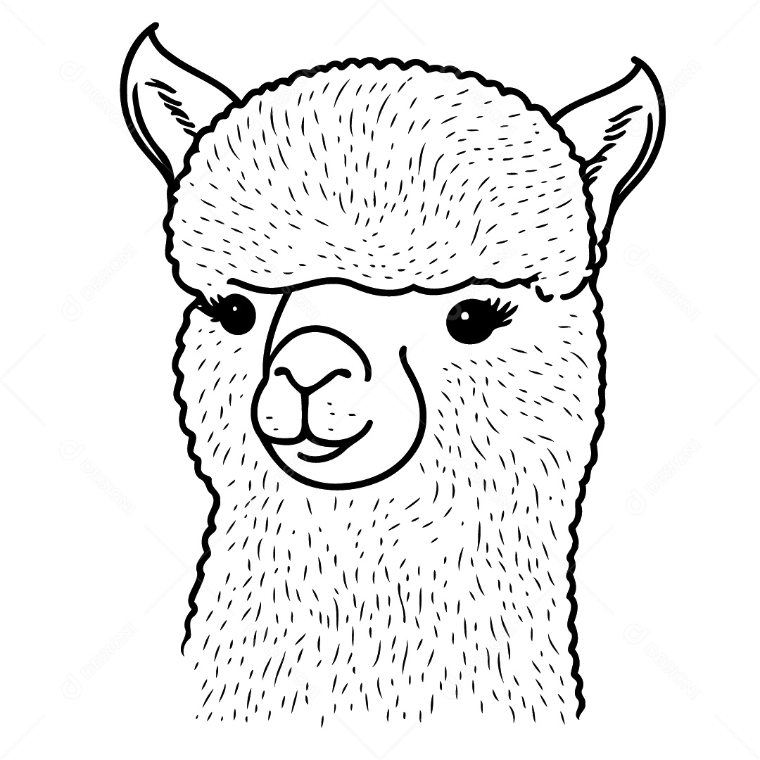 Camelídeo Chamada Alpaca Animal Cabeça Isolada Colorida Ilustração Vetorial Vetor EPS