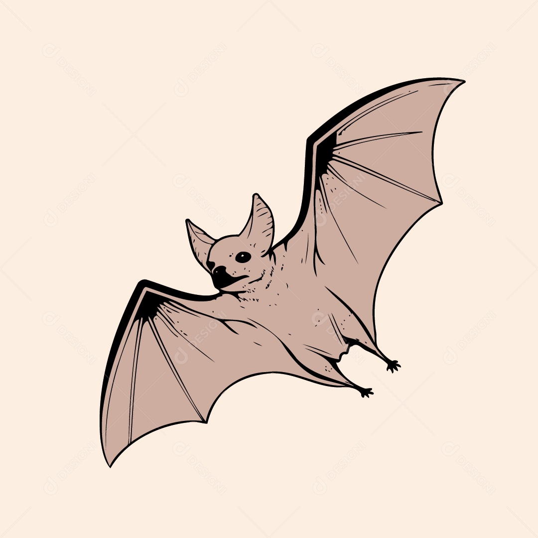 Ilustração De Morcego Animal Vetor EPS