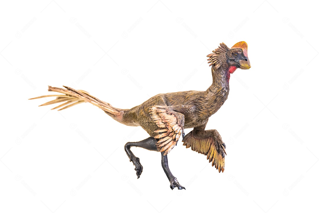 Belo dinossauro sobre fundo isolado