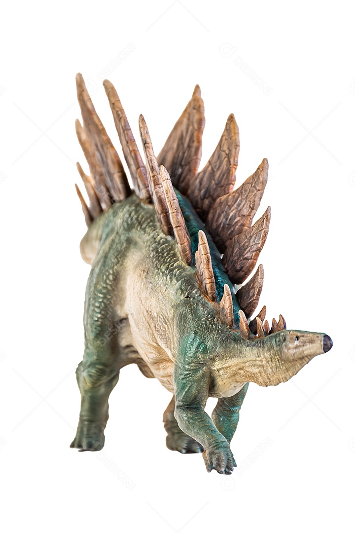 Belo dinossauro sobre fundo isolado