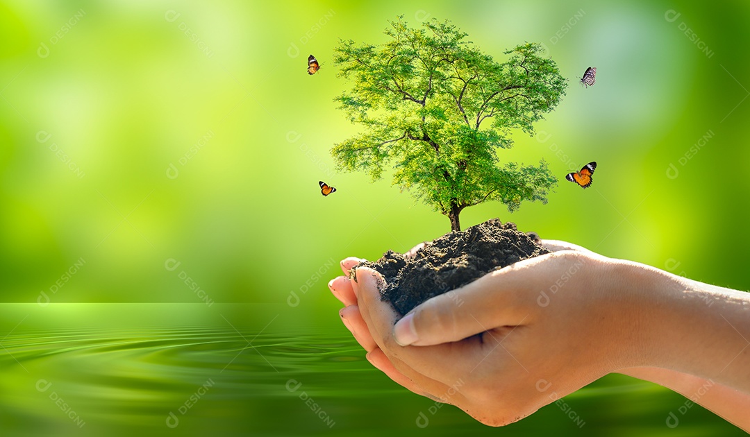 Dia da Terra nas mãos de árvores que cultivam mudas fundo verde bokeh