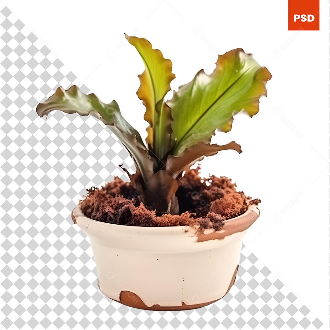 Vaso Com Planta Decoração De Casa PSD
