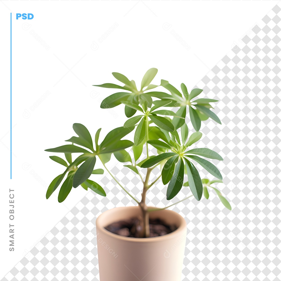 Vaso De Planta Decoração PSD