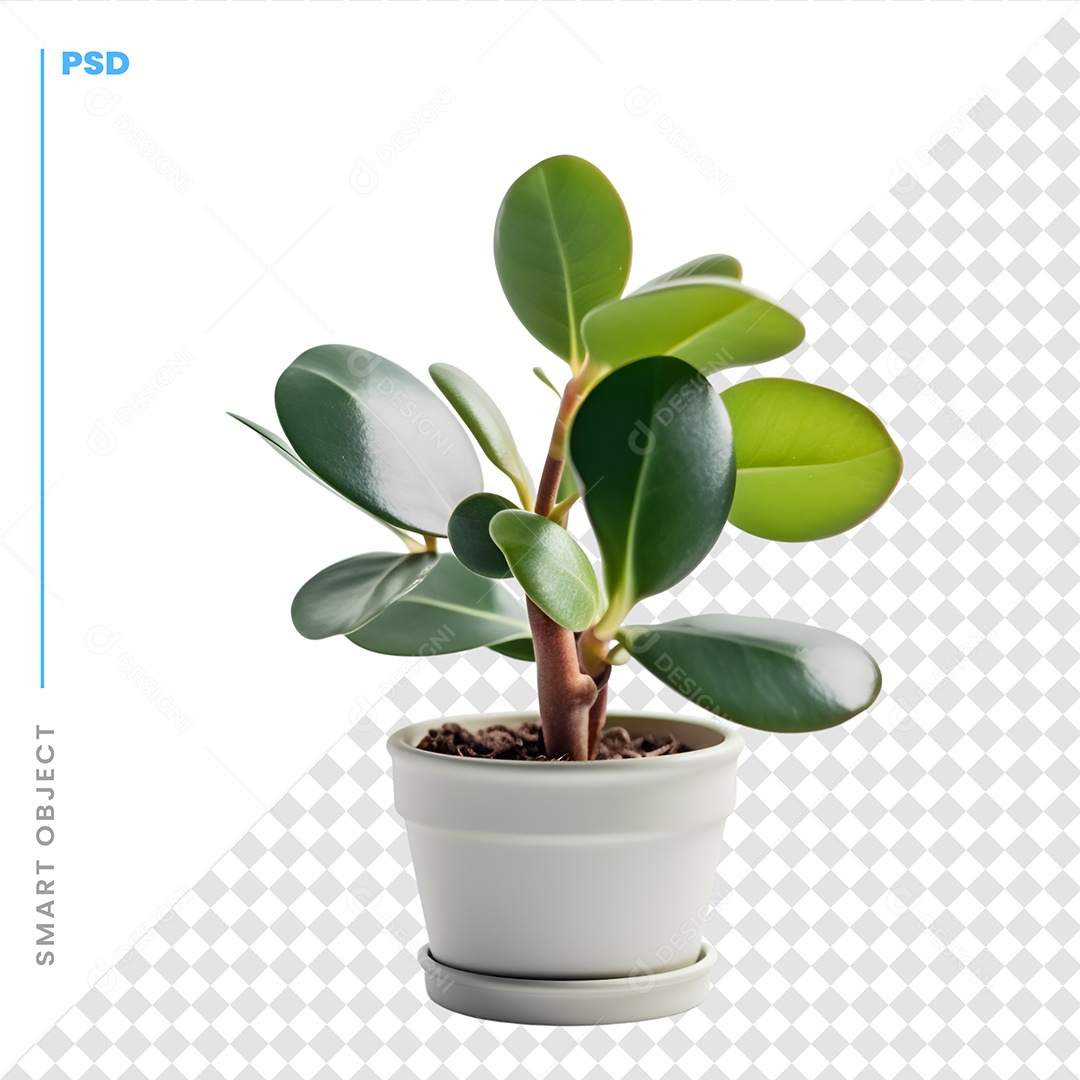 Vaso De Plantas Decoração PSD