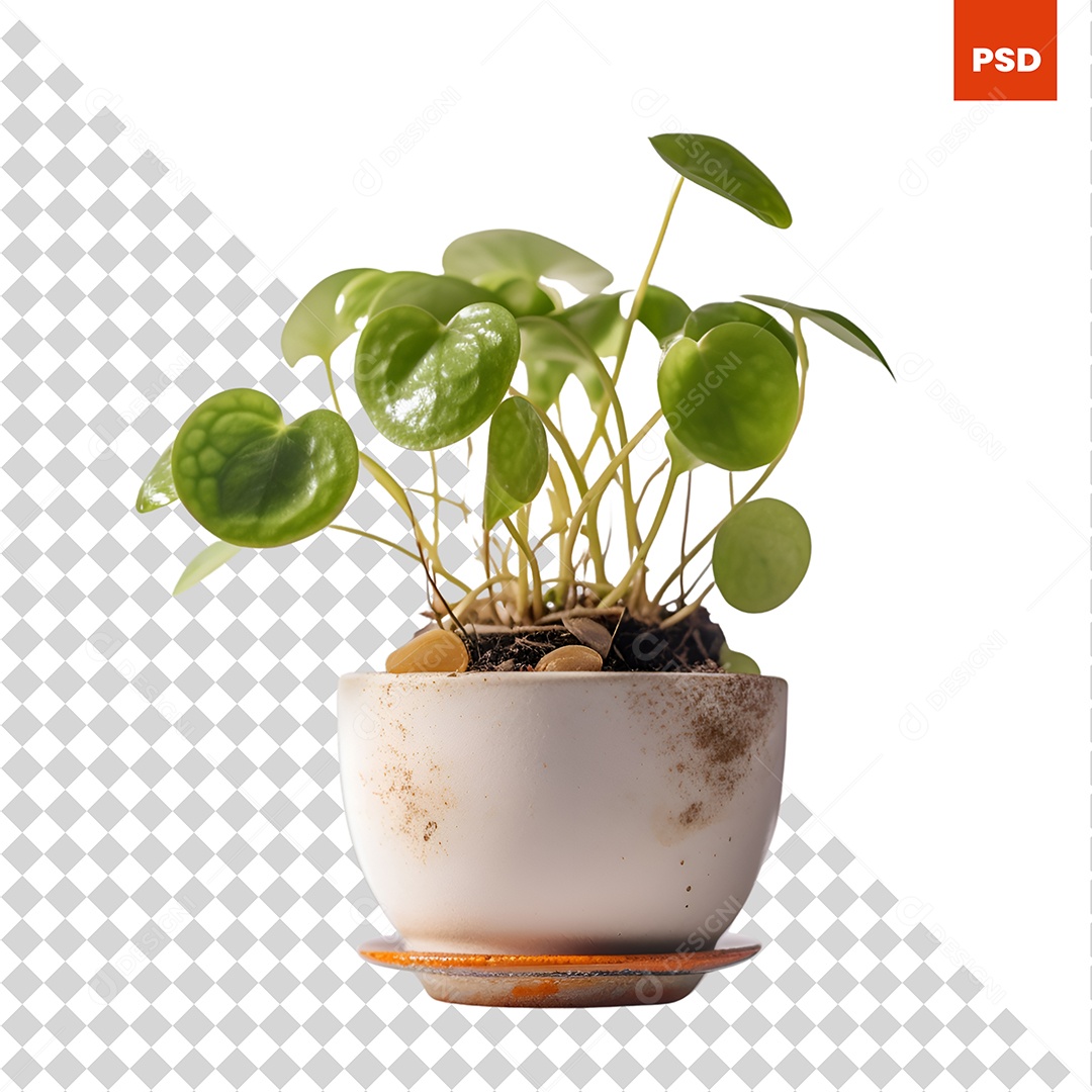 Vaso De Planta Decoração PSD