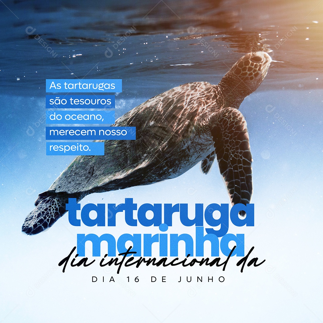 Dia Internacional Da Tartaruga Marinha 16 De Junho Social Media PSD Editável