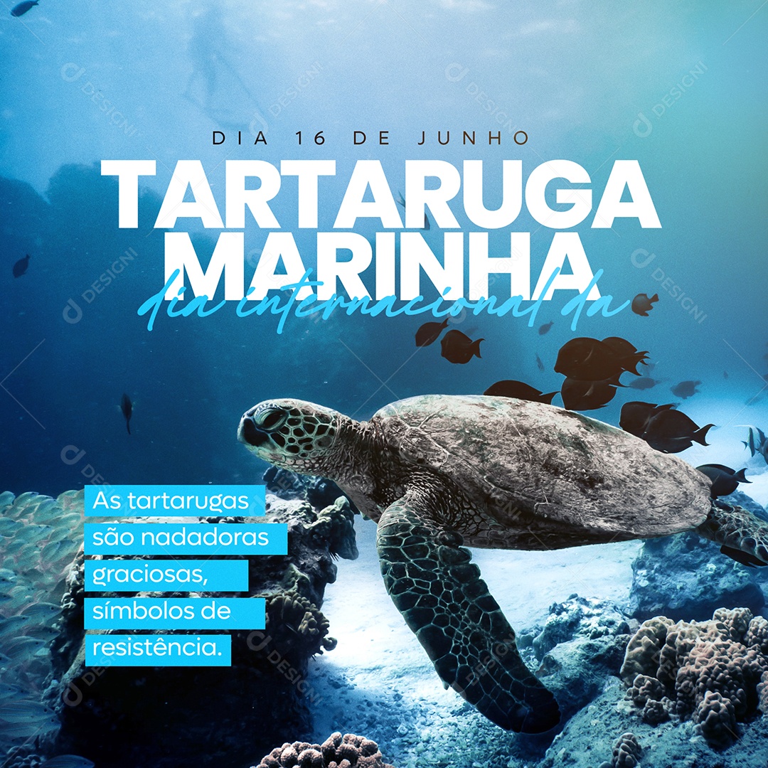 Social Media Dia Internacional da Tartaruga Marinha 16 De Junho PSD Editável