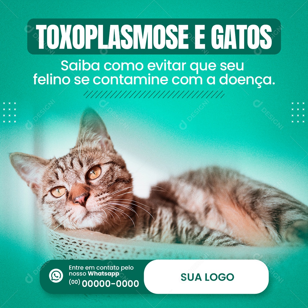 Clínica Veterinária Toxoplasmose e Gatos Social Media PSD Editável