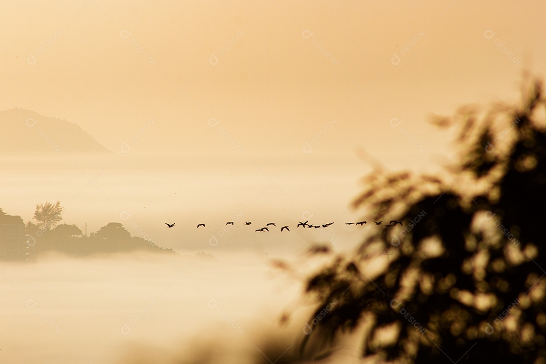 Nascer do sol no mirante do penhasco com a praia do Leblon ao fundo sobre densa neblina no Rio de Janeiro