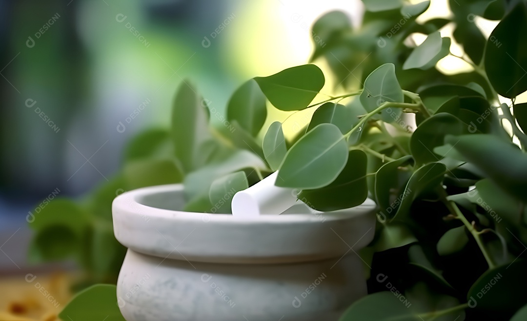 Macerado de ervas verdes para fitoterapia