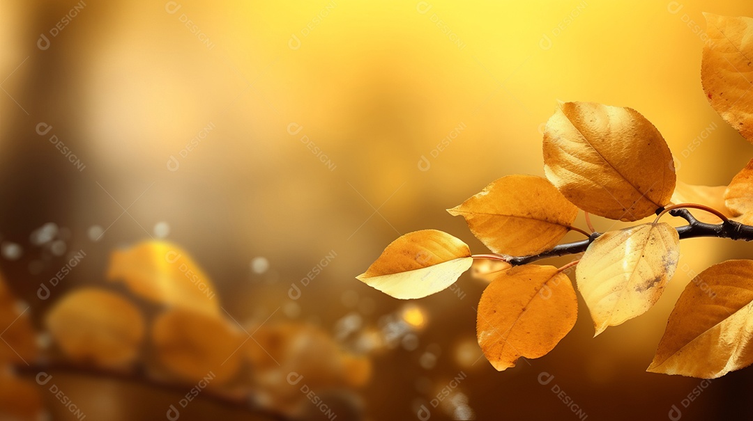 Folhas verde sobre floresta.