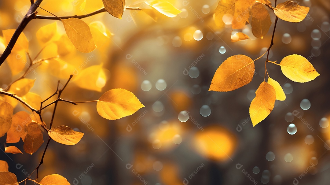 Folhas verde sobre floresta.