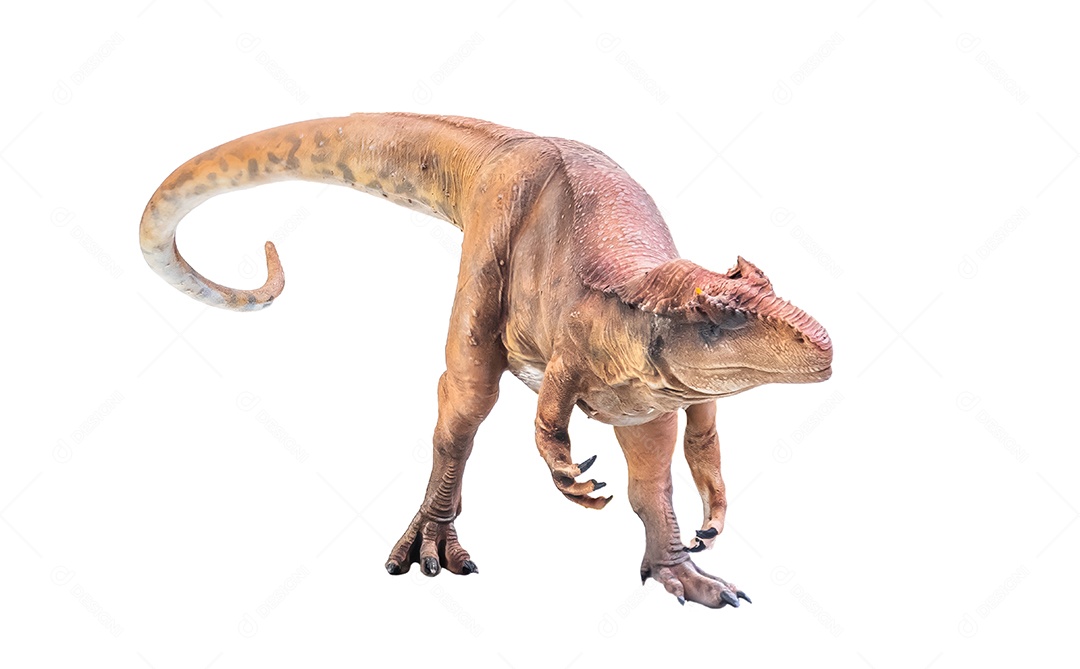 Belo dinossauro sobre fundo isolado