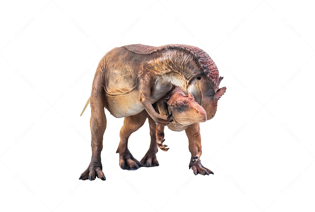 Belo dinossauro sobre fundo isolado