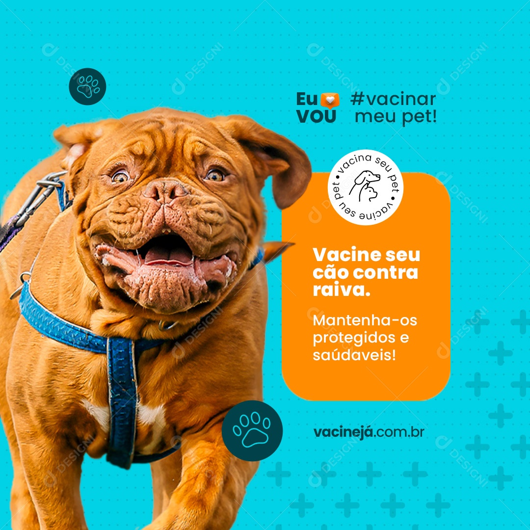 Vacine Seu Cão Contra Raiva Clínica Veterinária e Pet Shop Social Media PSD Editável