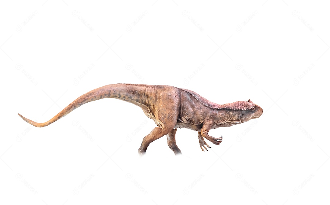 Belo dinossauro sobre fundo isolado