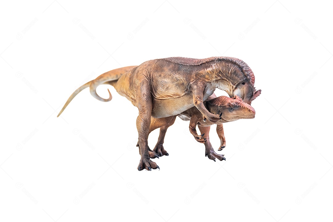 Belo dinossauro sobre fundo isolado