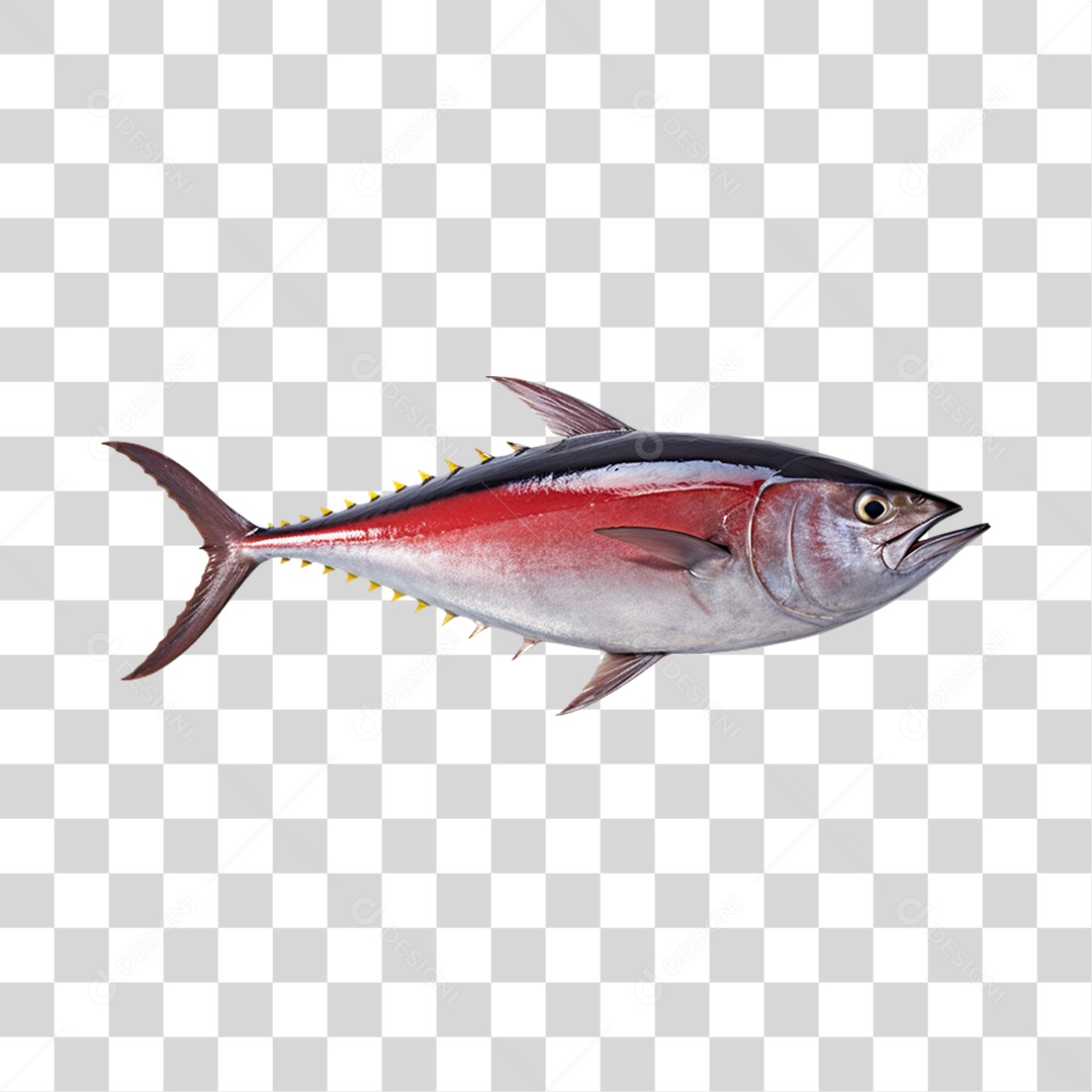 Peixes PNG Transparente