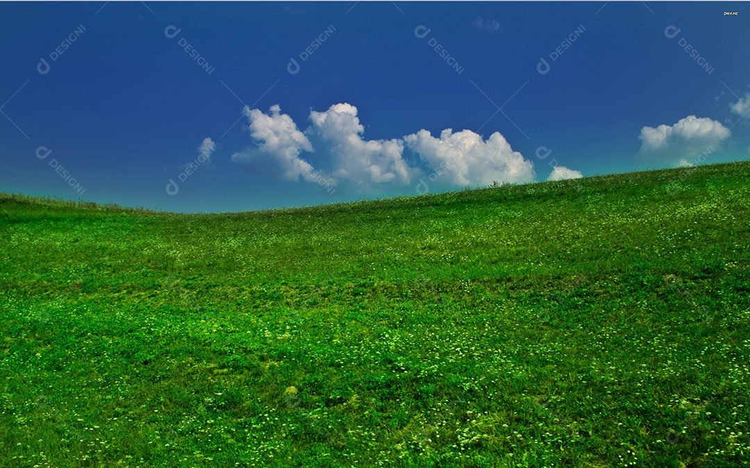 Detalhes do estádio de futebol