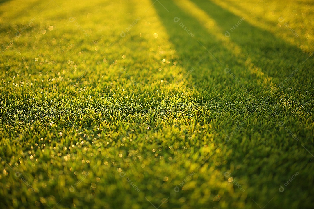 Detalhes de um estádio de futebol