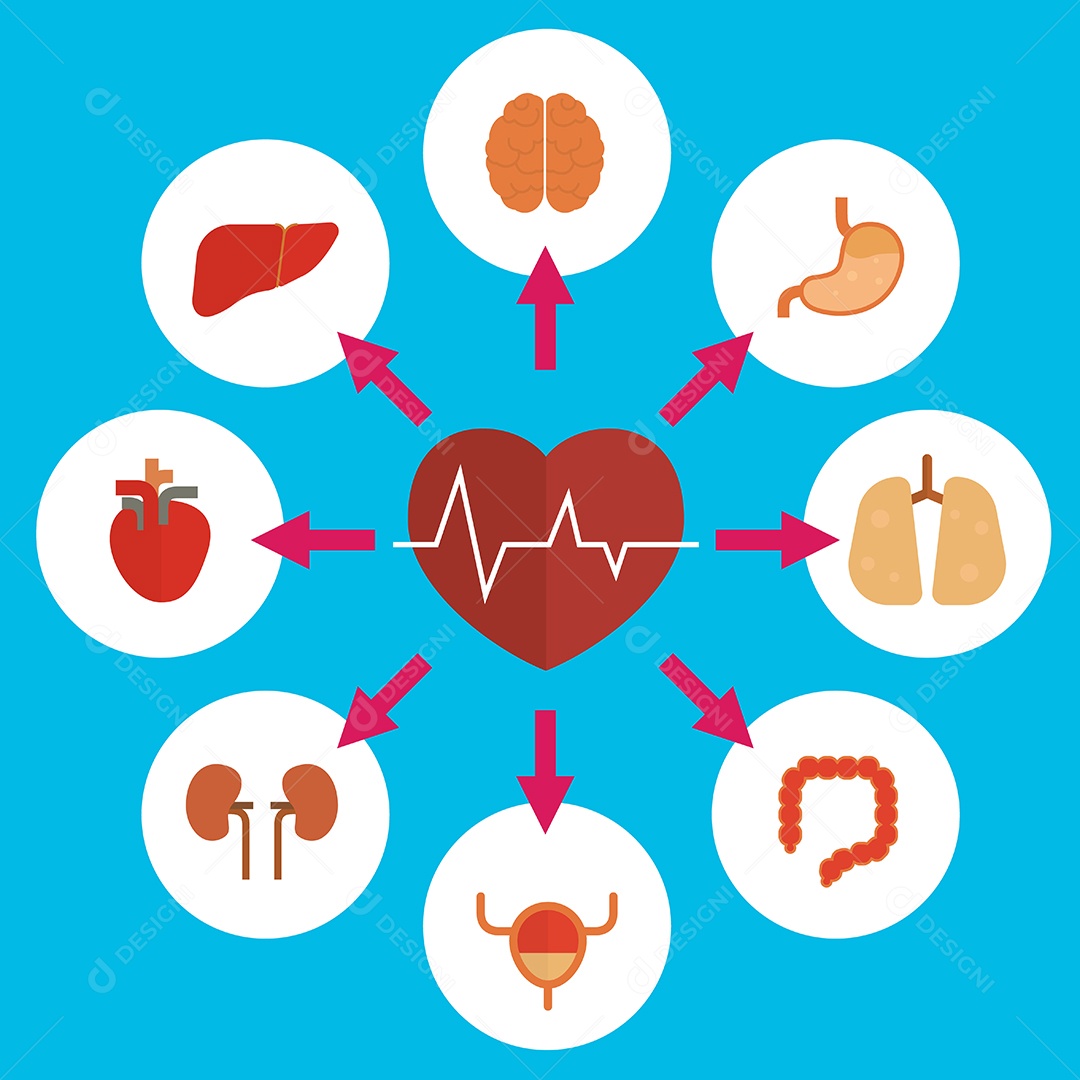 Ilustração do Vetor de Ícones de Órgãos Vetor EPS