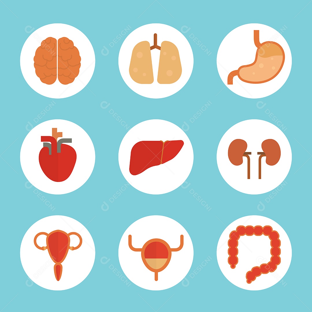 Ilustração do Vetor de Ícones de Órgãos Vetor EPS