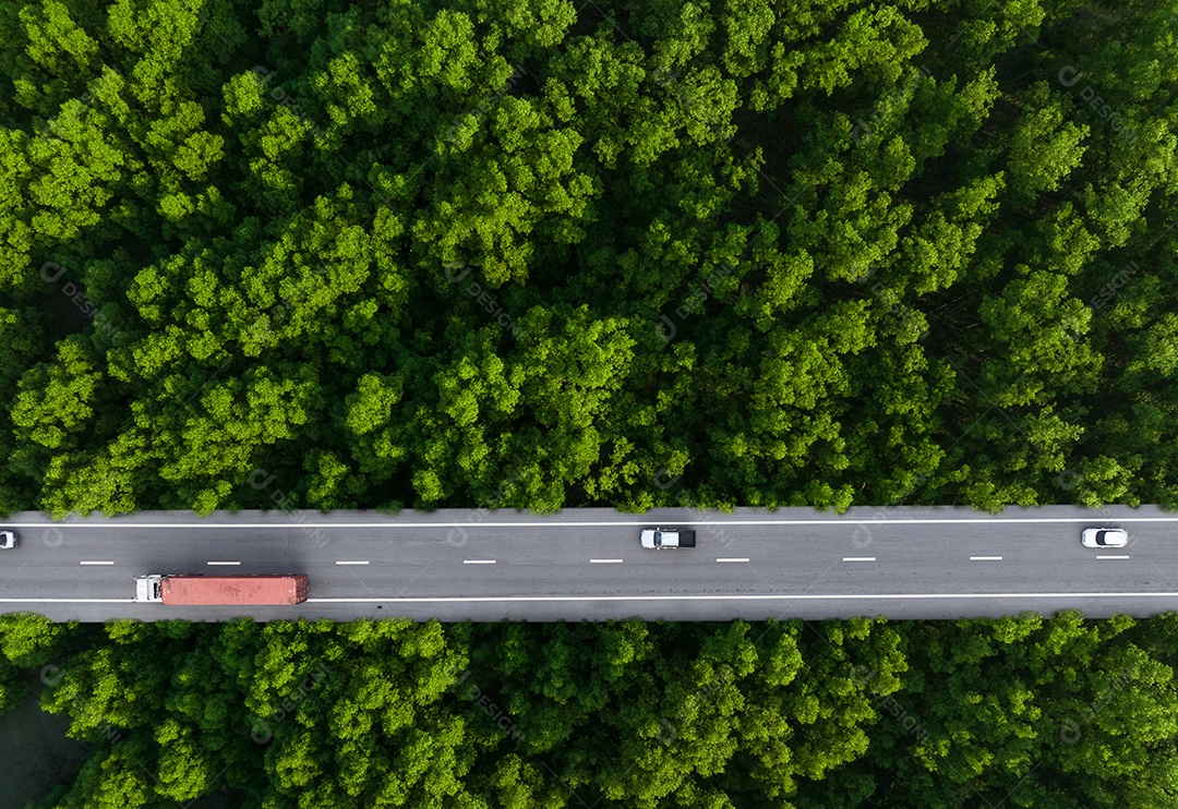 Vista aérea superior de carro e caminhão dirigindo na rodovia em floresta verde